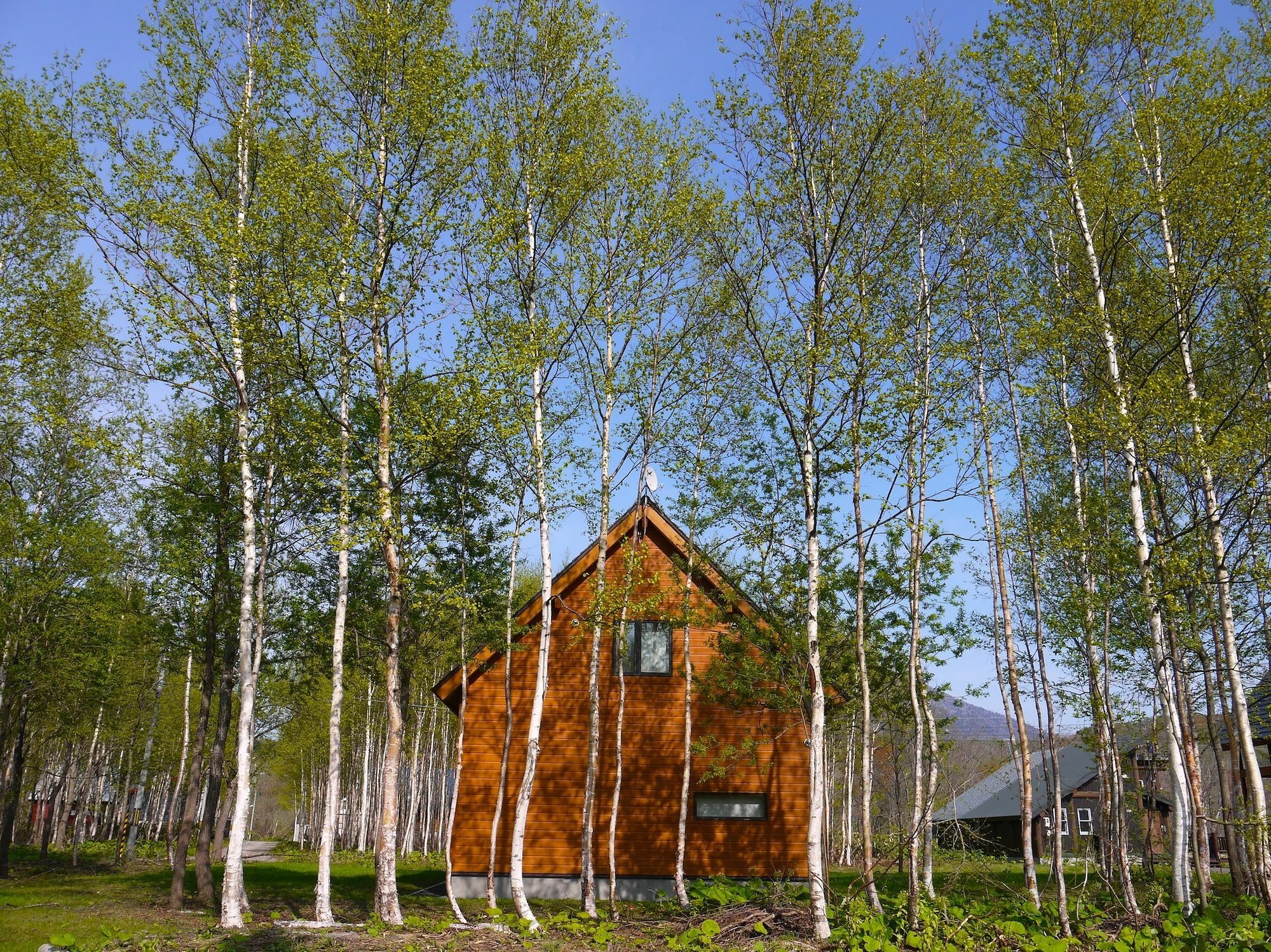 Country Resort Niseko Куття Екстер'єр фото